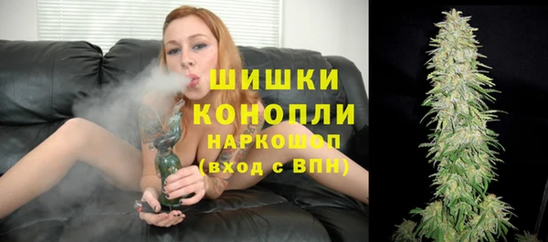 шишки Магадан