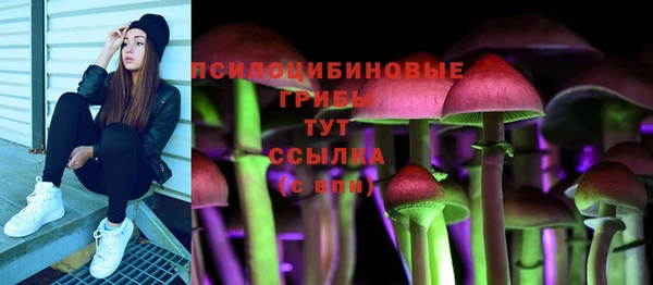 ГАЛЛЮЦИНОГЕННЫЕ ГРИБЫ Майский