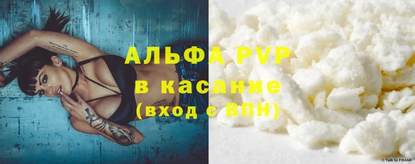 ГАЛЛЮЦИНОГЕННЫЕ ГРИБЫ Майский