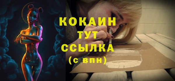 шишки Магадан