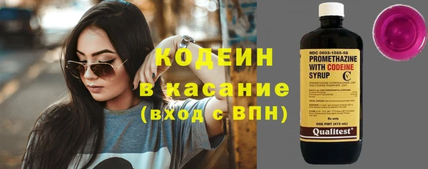 прущие грибы Магас