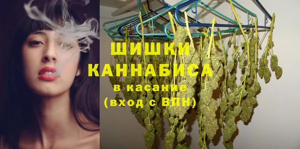 ГАЛЛЮЦИНОГЕННЫЕ ГРИБЫ Майский