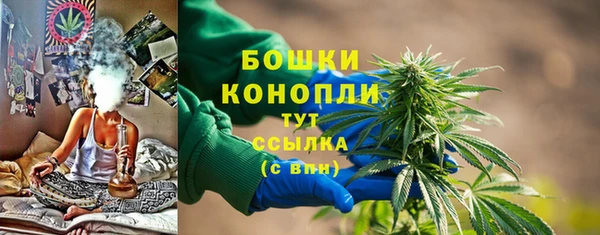 прущие грибы Магас