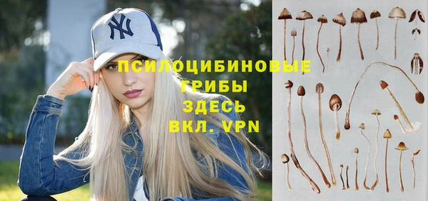 шишки Магадан