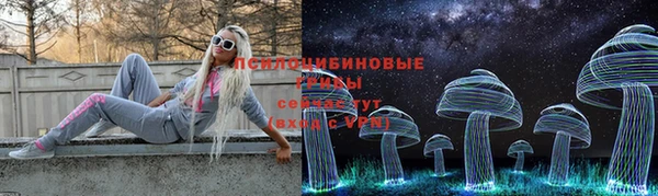 ГАЛЛЮЦИНОГЕННЫЕ ГРИБЫ Майский