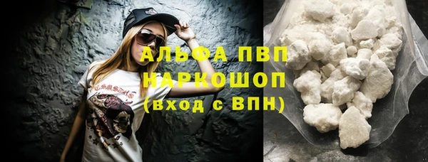 прущие грибы Магас