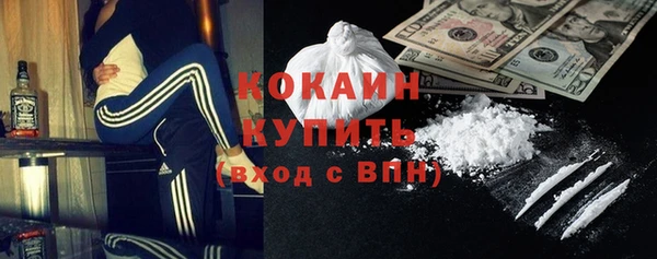 ГАЛЛЮЦИНОГЕННЫЕ ГРИБЫ Майский
