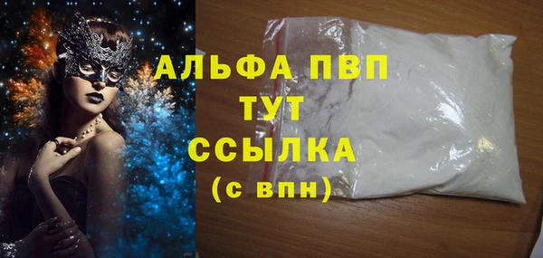 прущие грибы Магас