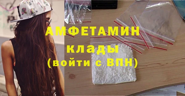 прущие грибы Магас
