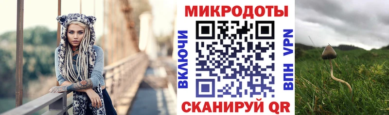 Купить Кудрово Галлюциногенные грибы Cubensis